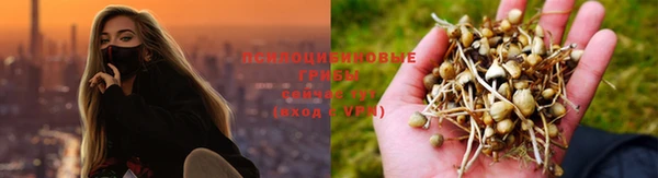 первитин Каменка