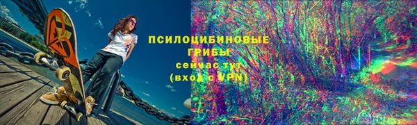 mdpv Краснослободск