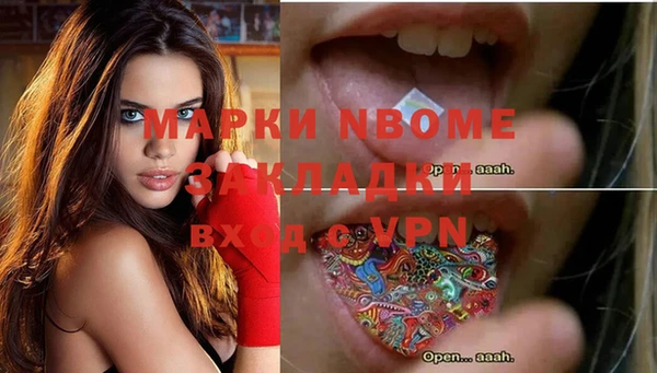 mdpv Краснослободск