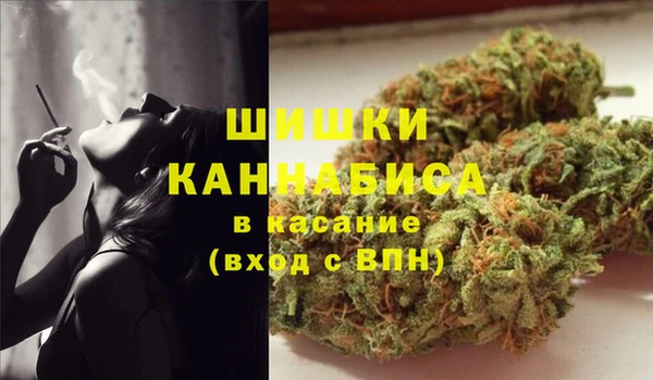 спайс Кулебаки