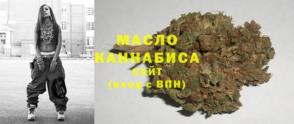 первитин Каменка
