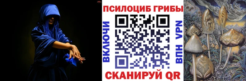 Купить Аша Галлюциногенные грибы мицелий